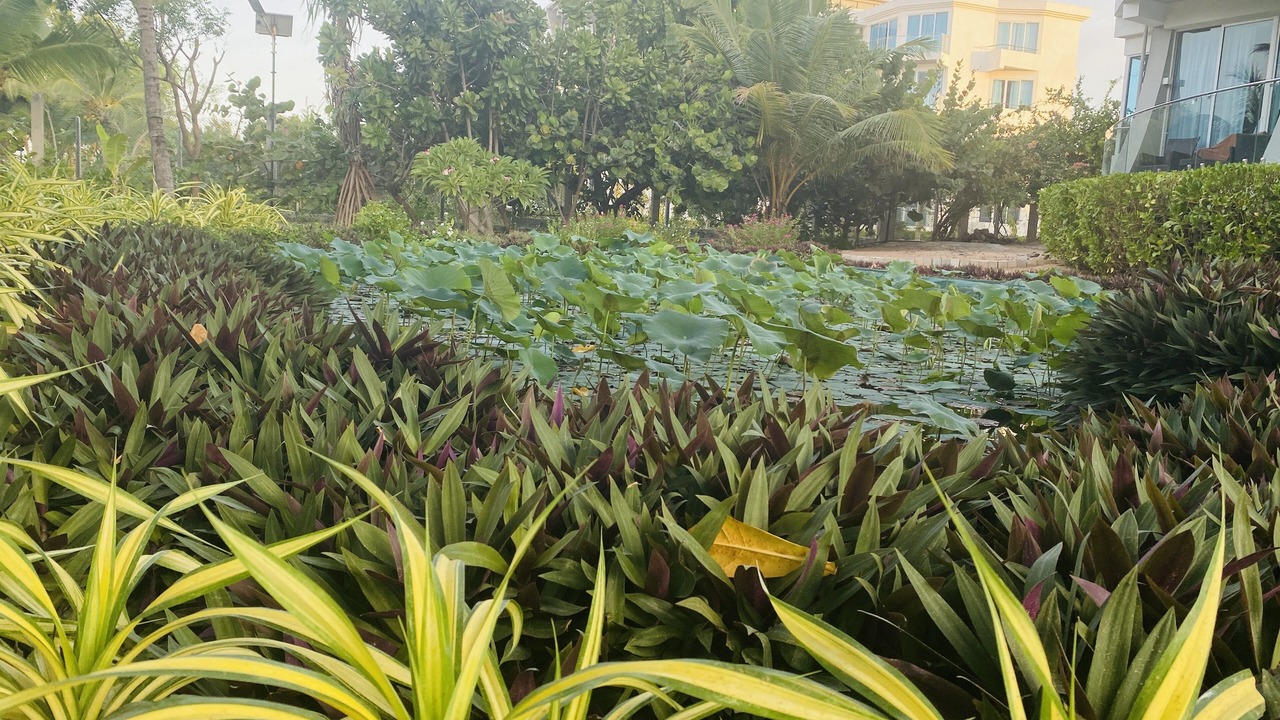 Photo of Outdoor in Trincomalee