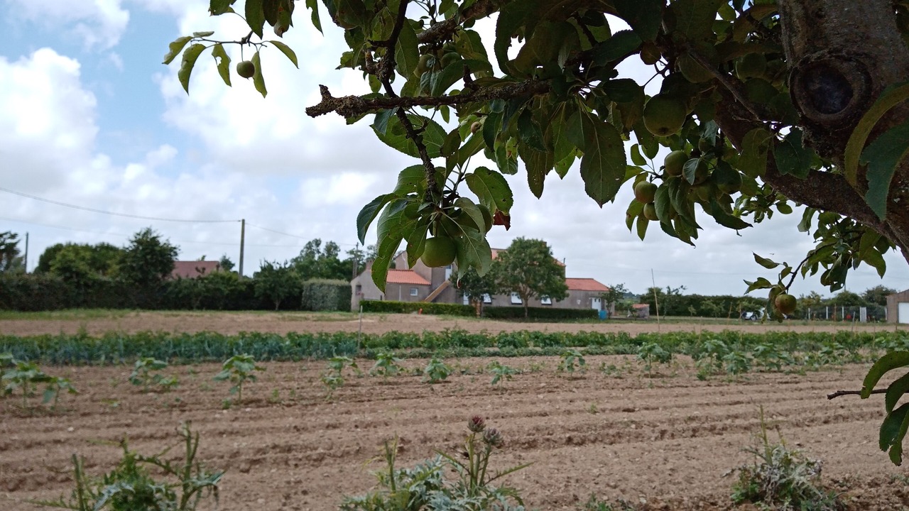 Photo of Others in Brem Sur Mer