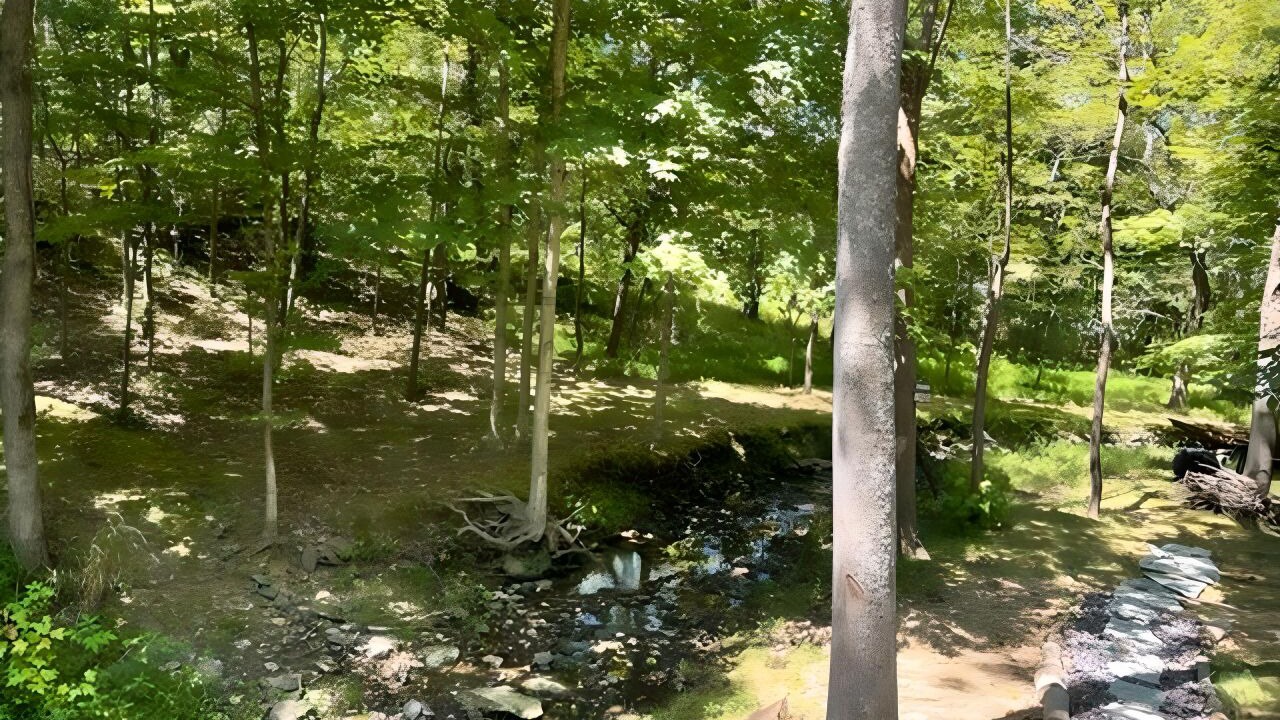 Photo of Outdoor in Carbondale