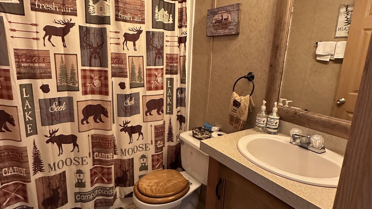 Photo of Bathroom in Canaseraga