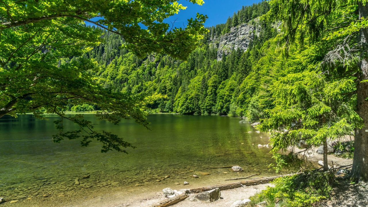Photo of Others in Kappel