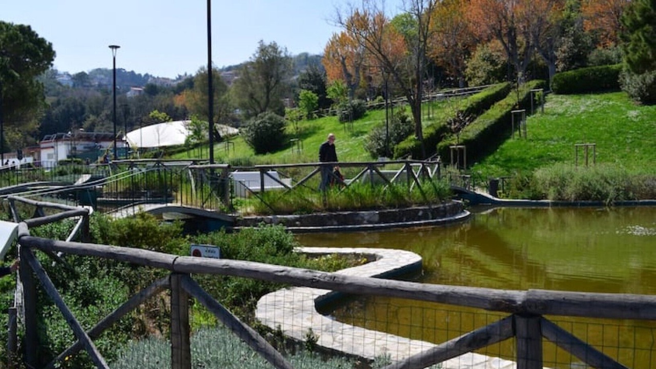 Photo of Outdoor in Ancona