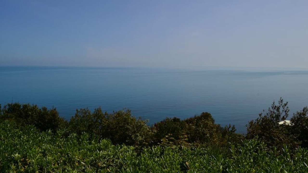 Photo of Others in Ancona