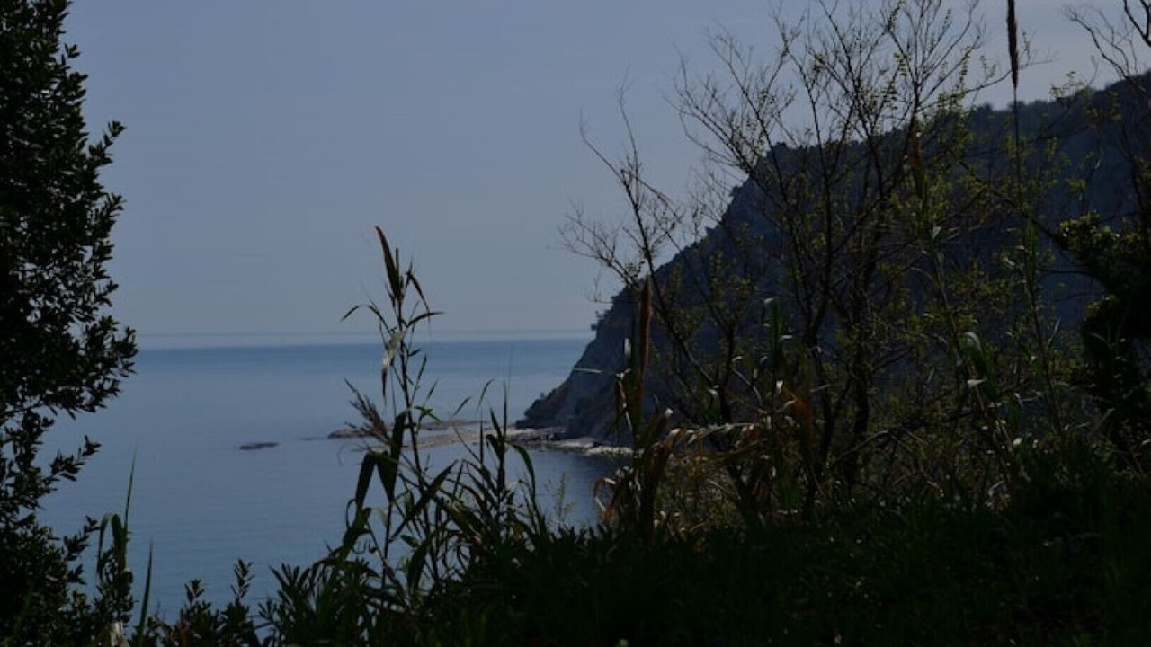 Photo of Others in Ancona
