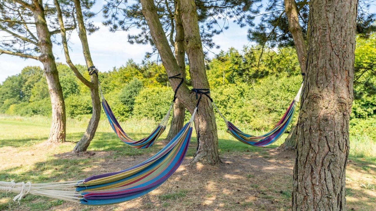 Photo of Outdoor in Zeewolde