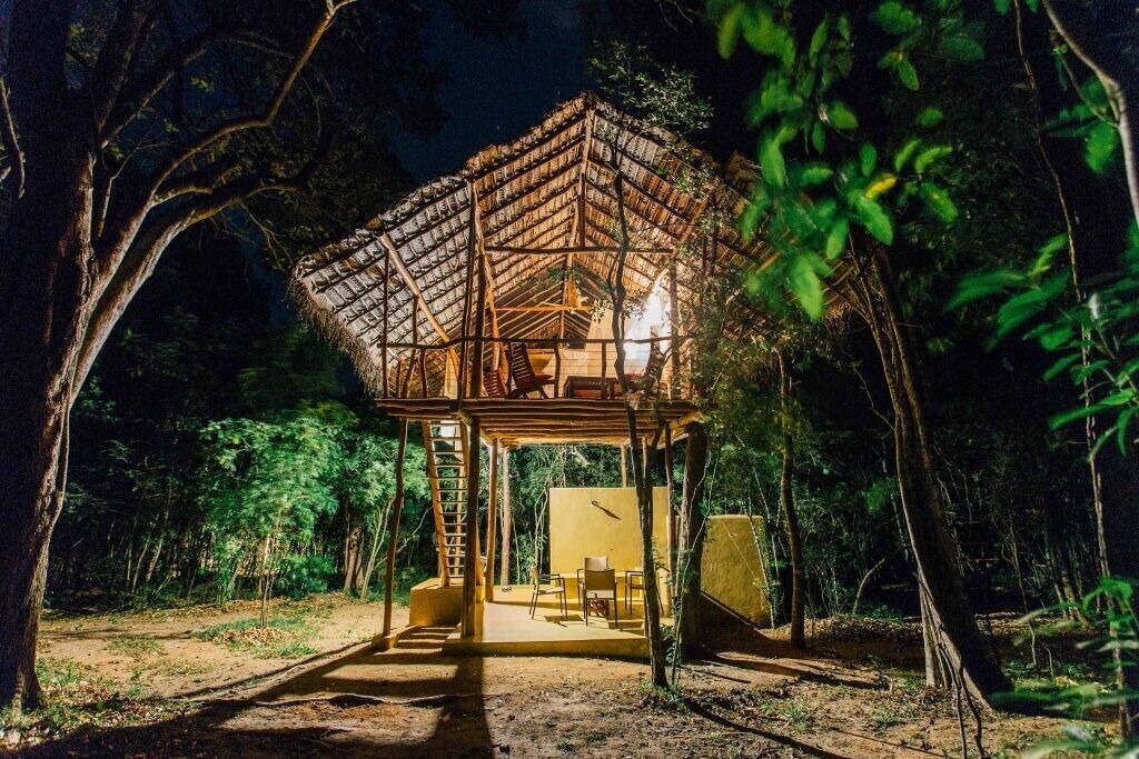 Photo of Outdoor in Sigiriya