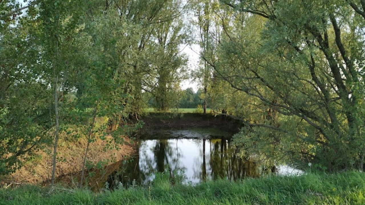 Photo of Outdoor in Salignac