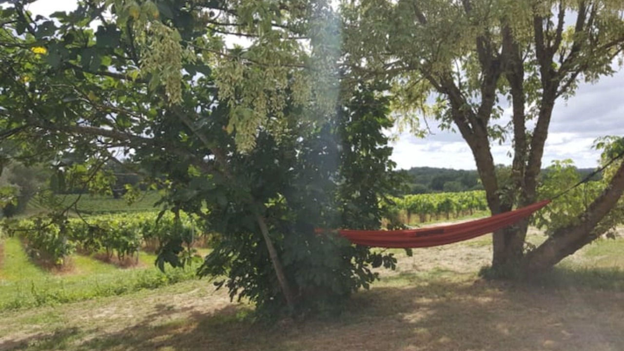 Photo of Outdoor in Salignac