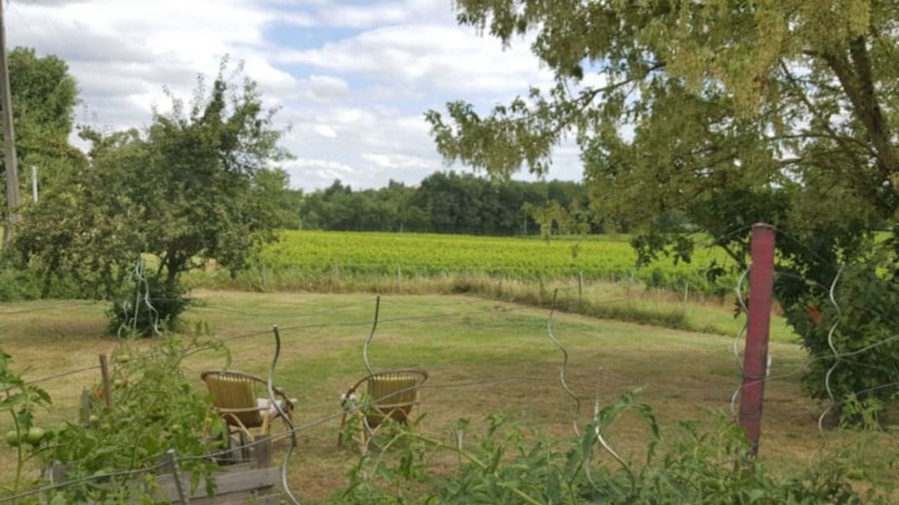 Photo of Outdoor in Salignac