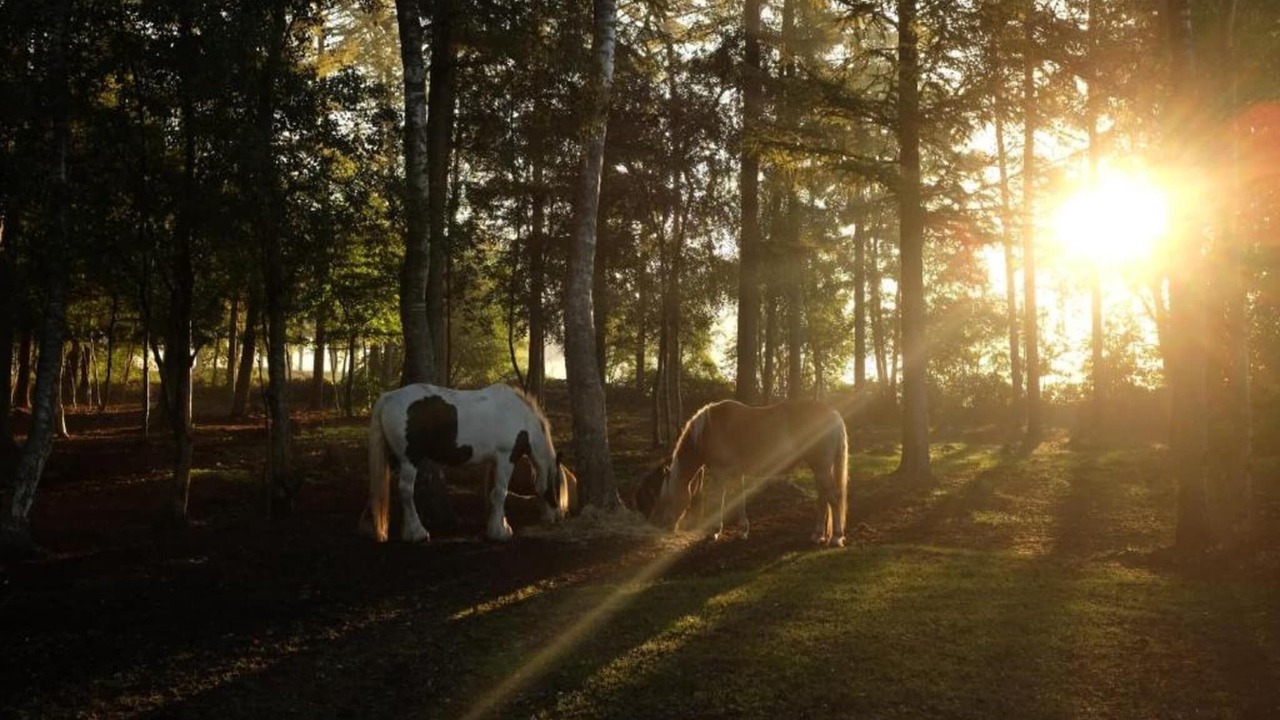 Photo of Others in Municipality of Dalfsen