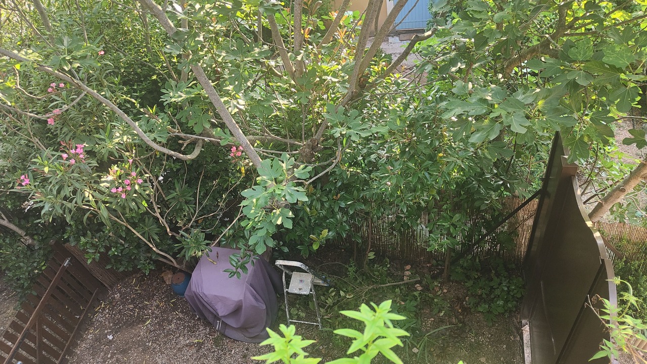 Photo of Outdoor in Le Thoronet
