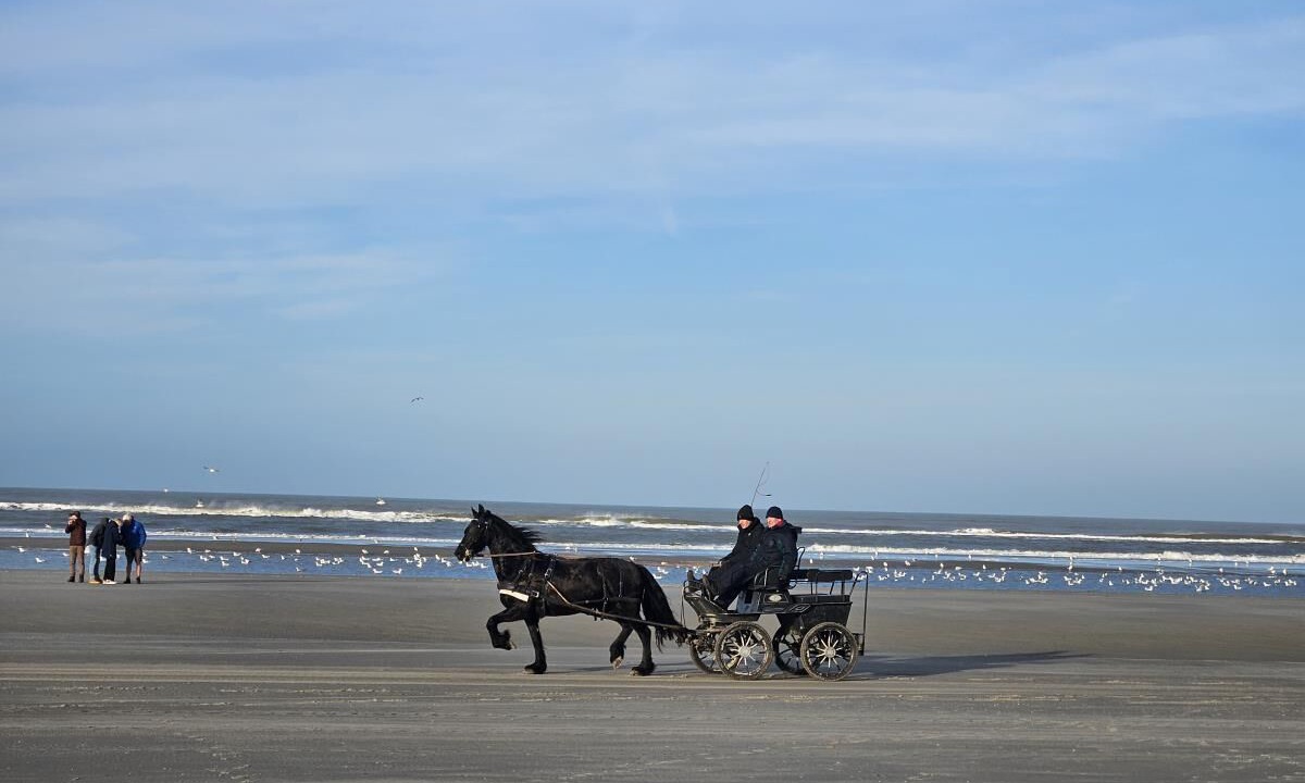 Photo of Others in Municipality of Ameland