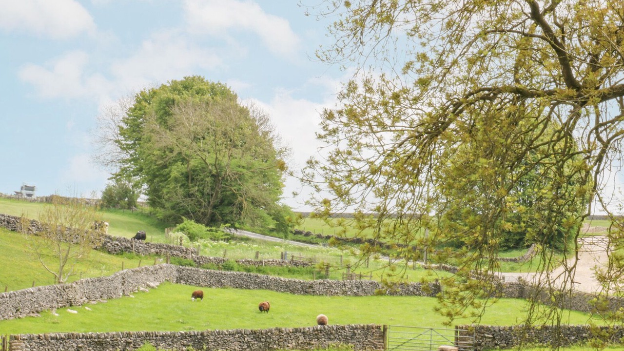 Photo of Outdoor in Newton Grange