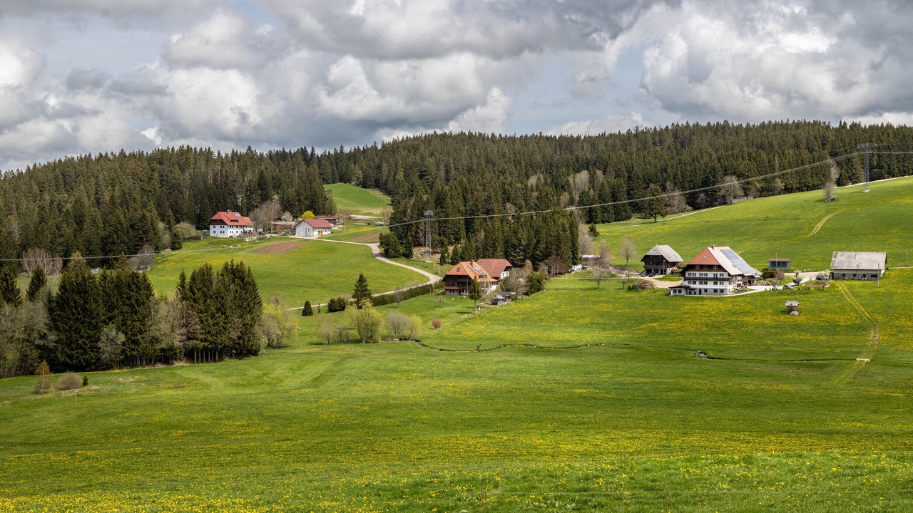 Photo of Others in Am Bach