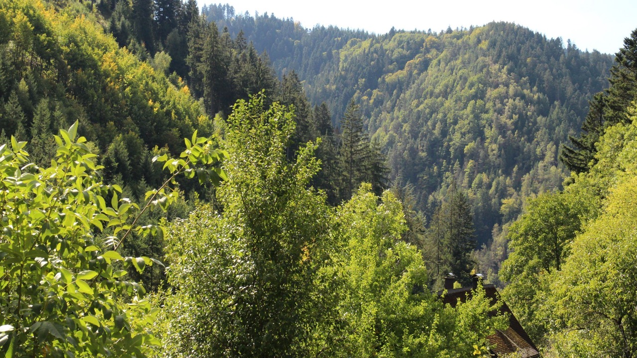 Photo of Others in Am Bach