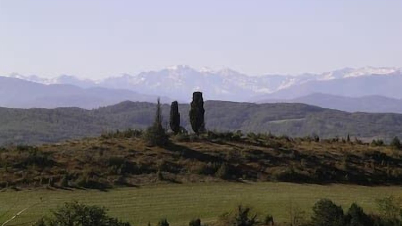 Photo of Others in Cazals-des-Bayles