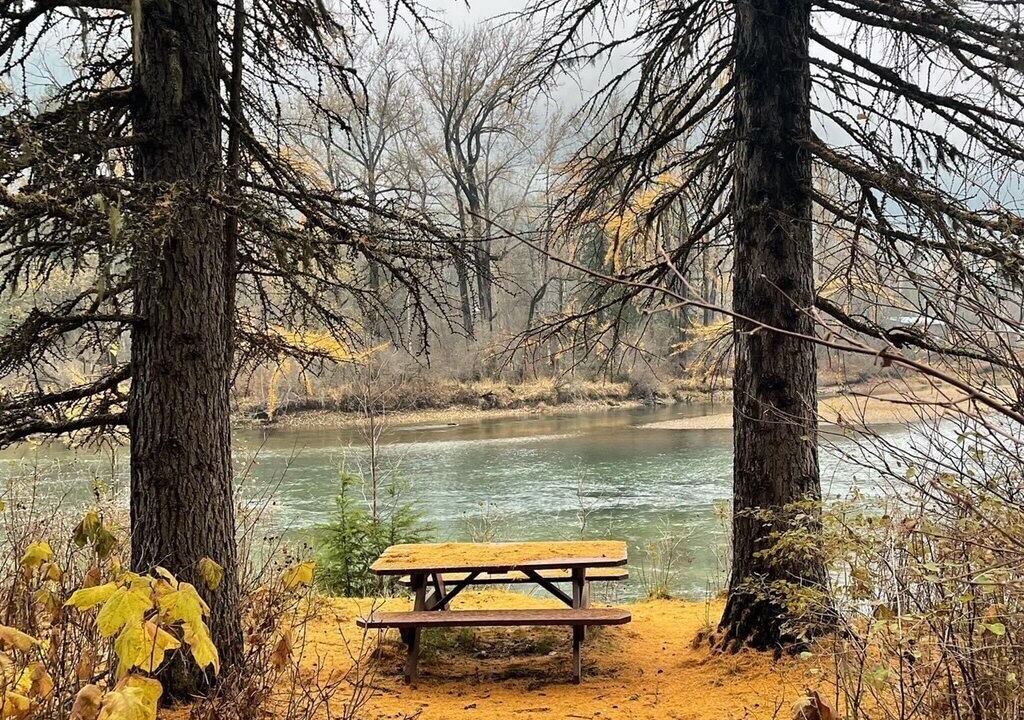 Photo of Outdoor in Nelson