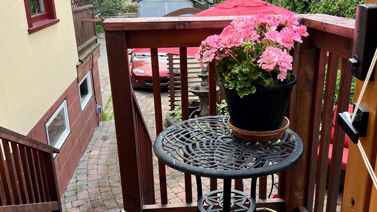 Photo of Outdoor in Nelson