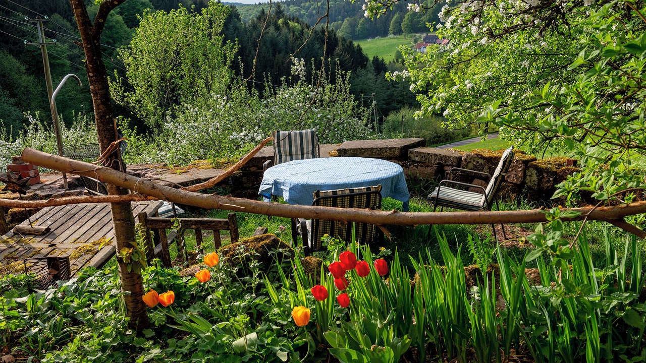 Photo of Outdoor in Freiamt