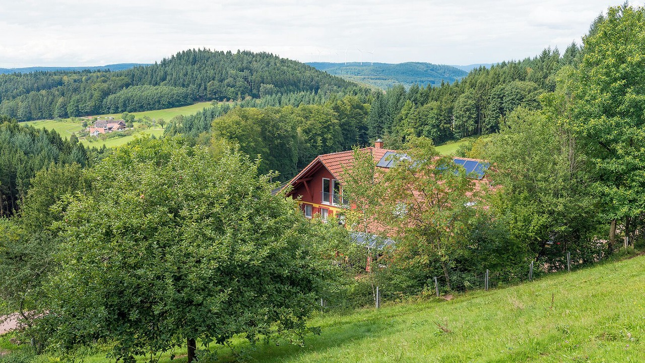 Photo of Outdoor in Freiamt