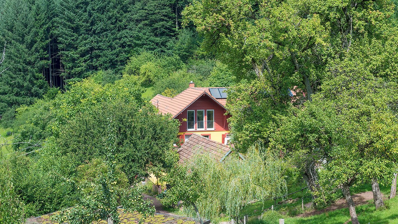 Photo of Others in Freiamt