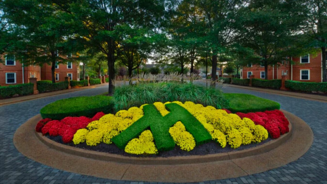 Photo of Outdoor in Williamsburg