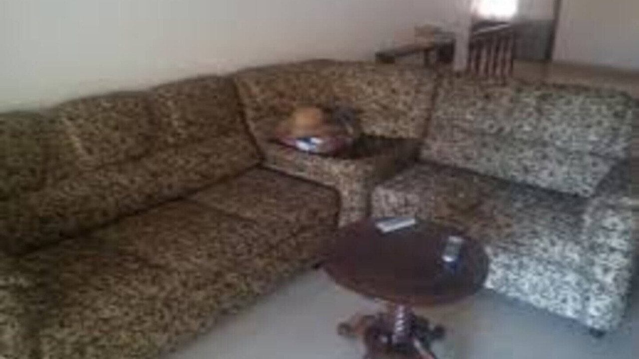 Photo of Livingroom in Venganoor