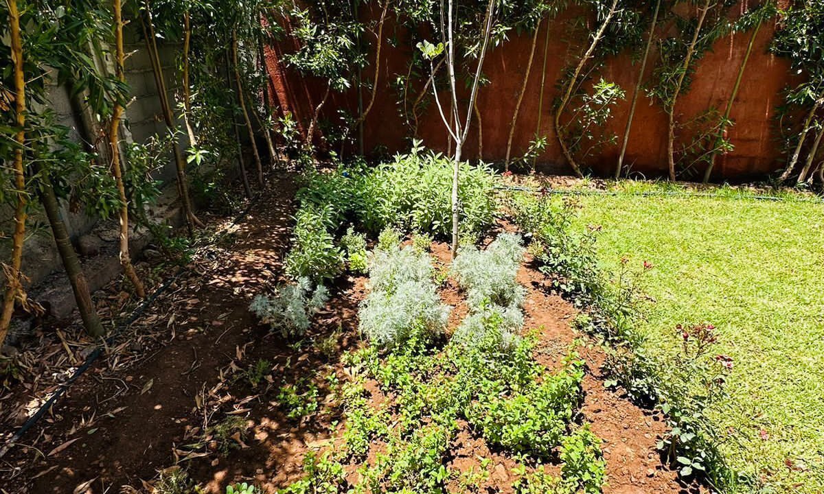 Photo of Outdoor in Tnine Ourika