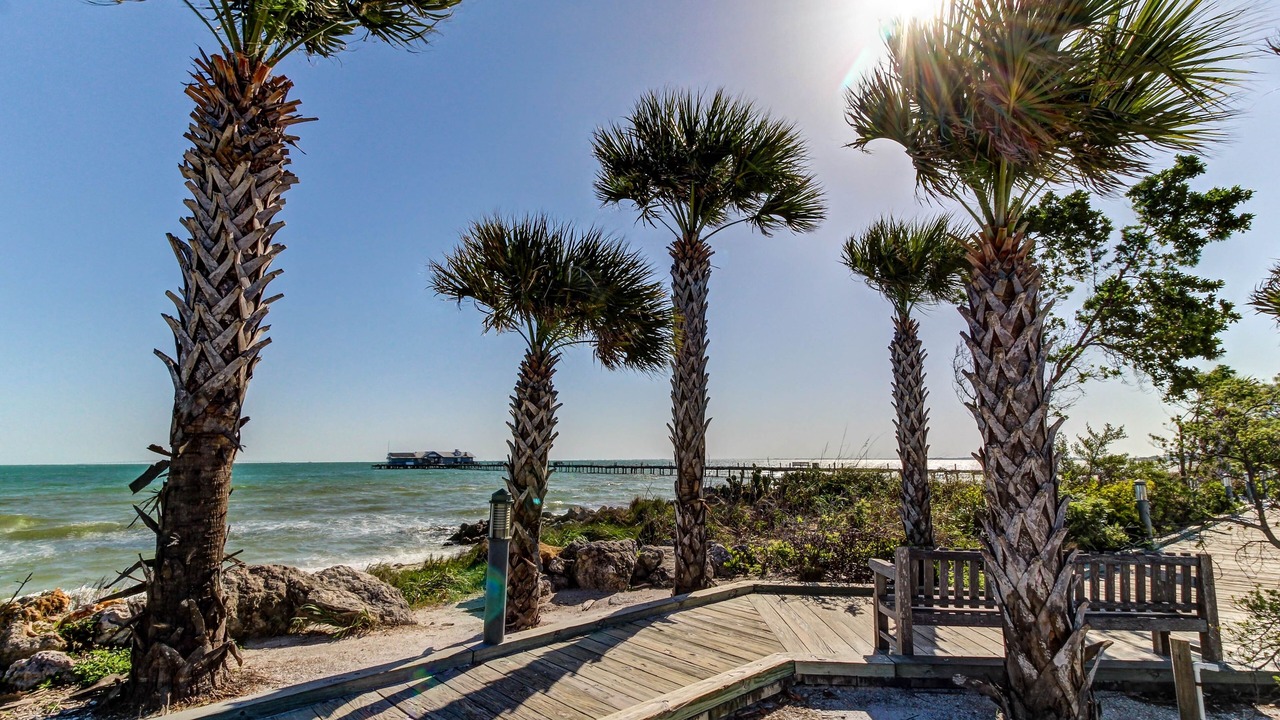 Photo of Outdoor in Anna Maria