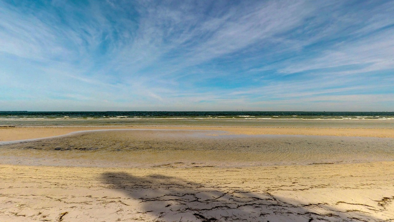 Photo of Others in Anna Maria
