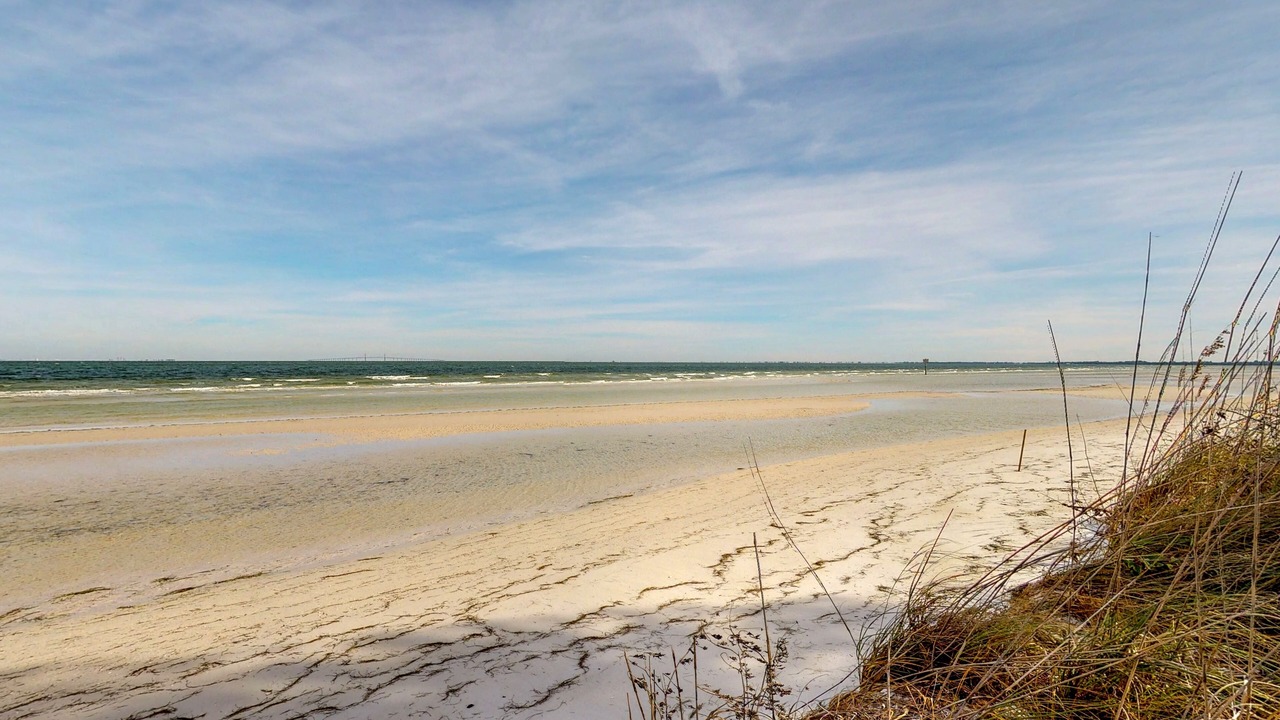 Photo of Others in Anna Maria