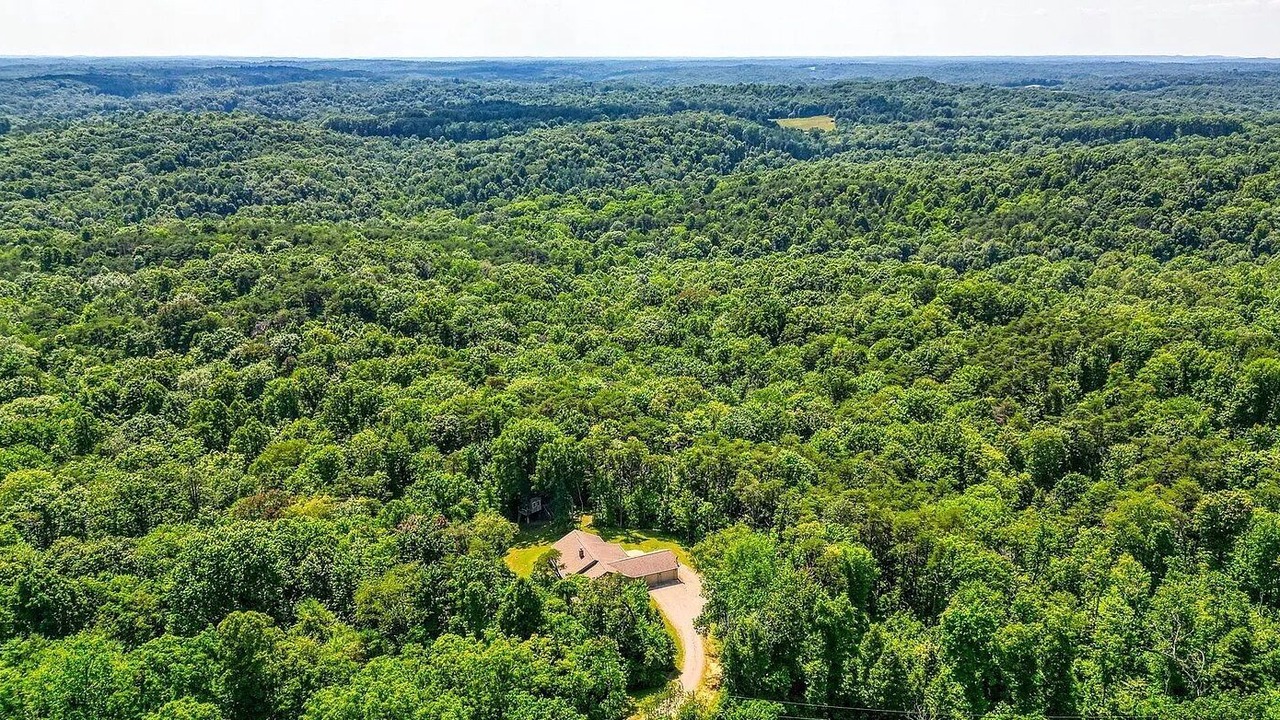 Photo of Outdoor in Creola