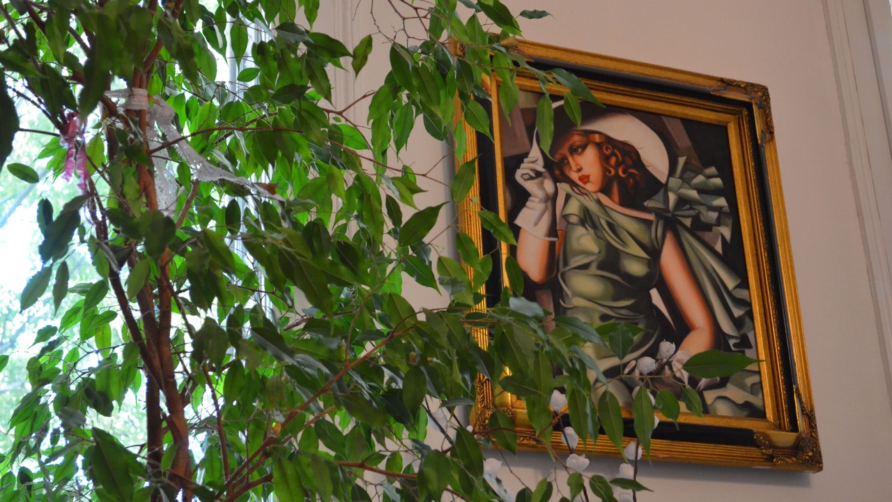 Photo of Outdoor in Les Cinq Avenues