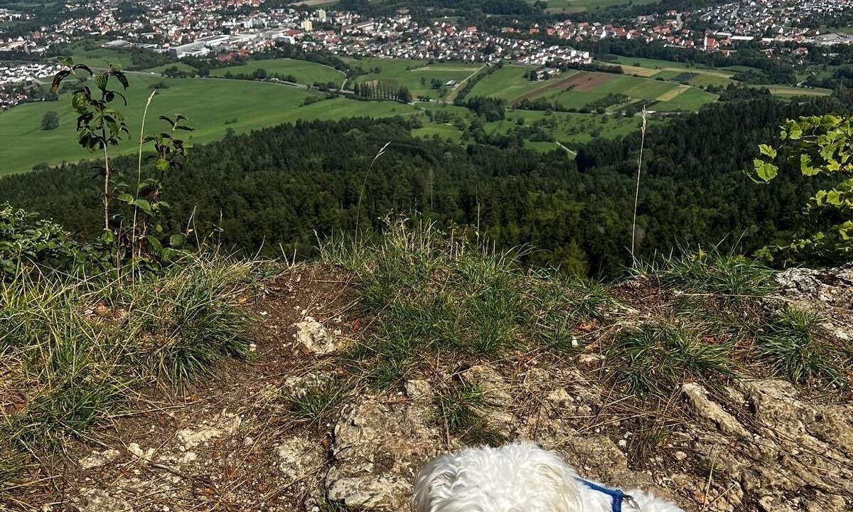 Photo of Others in Gemarkung Weilstetten