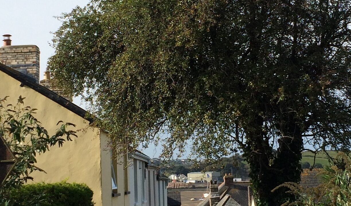 Photo of Outdoor in Instow