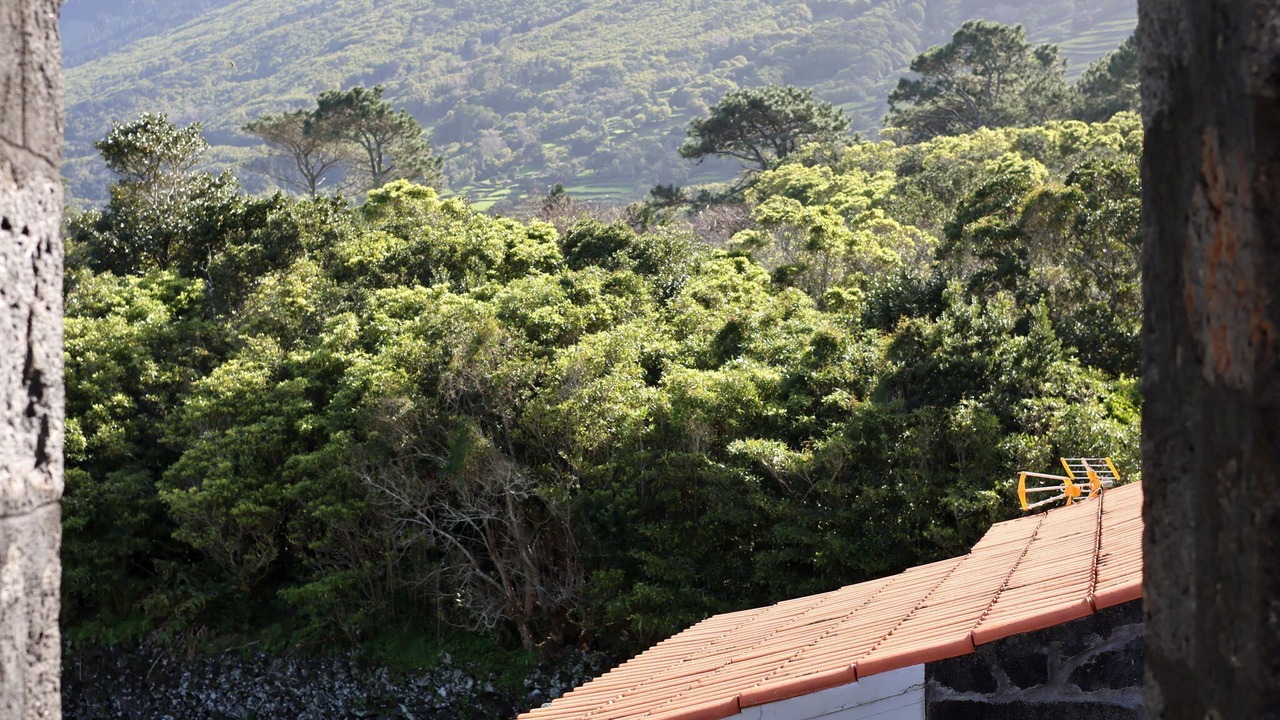 Photo of Others in Santo Amaro