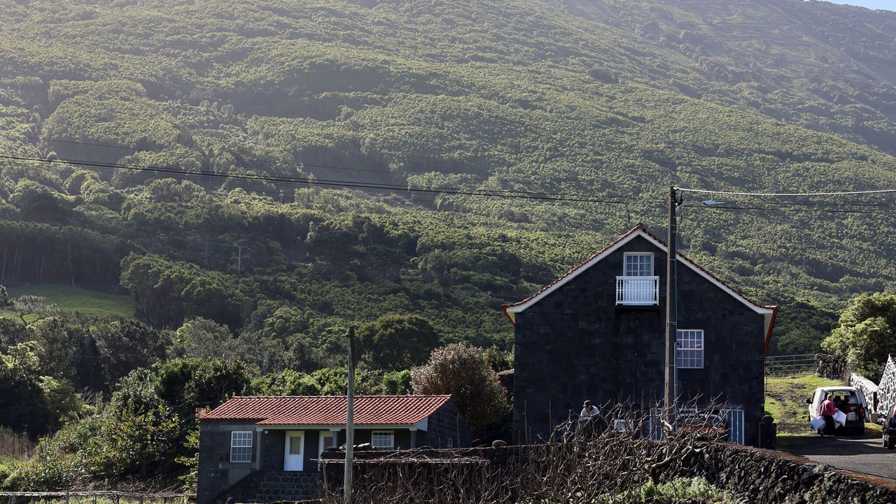 Photo of Outdoor in Santo Amaro