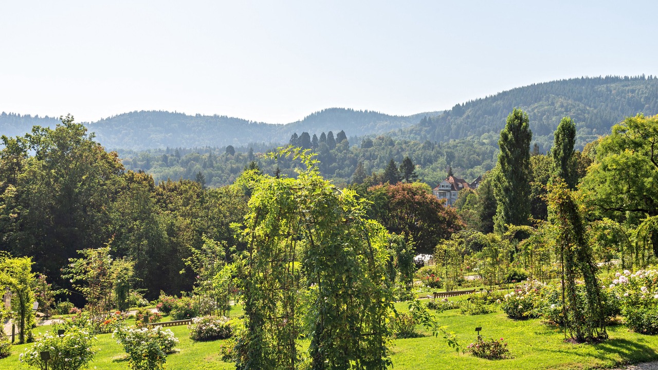 Photo of Outdoor in Baden-Baden