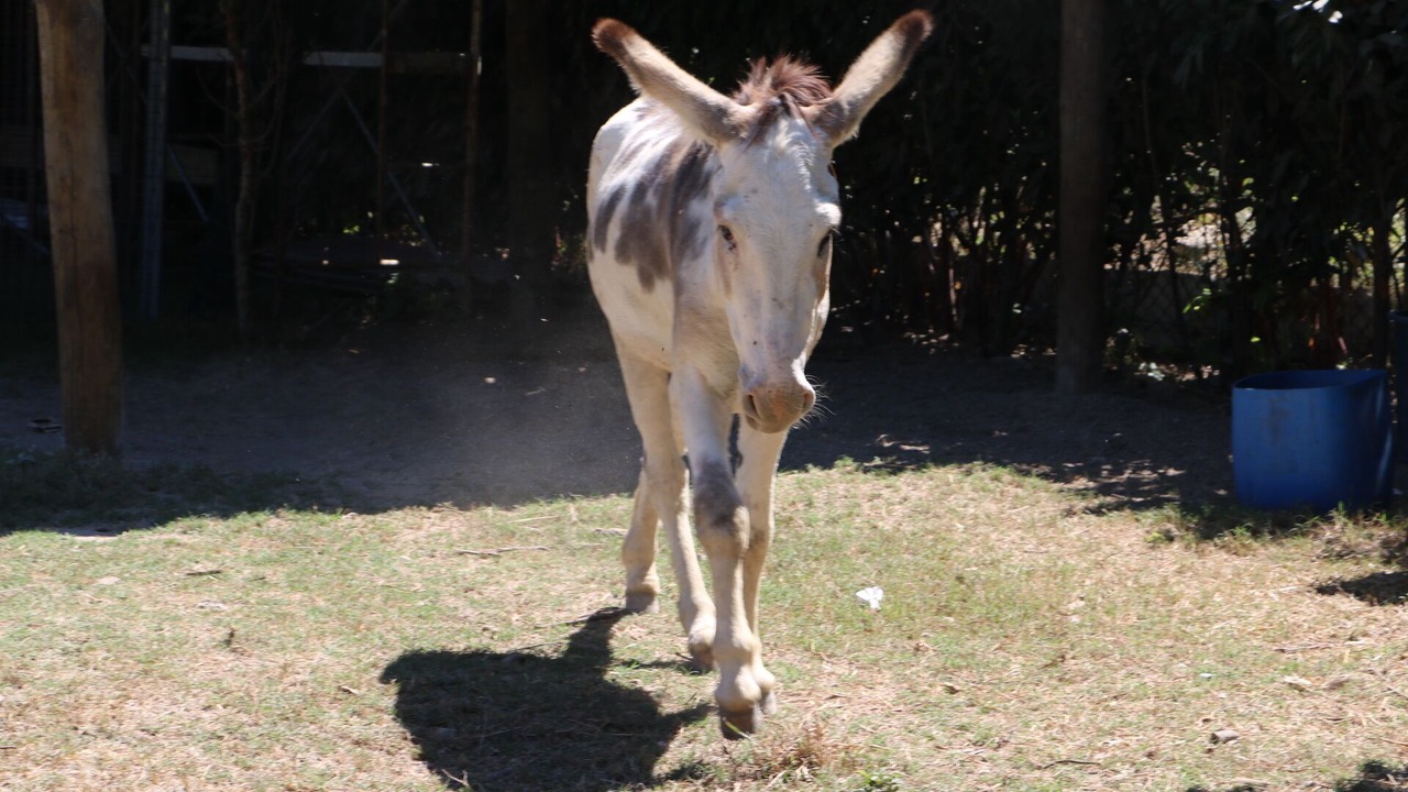 Photo of Outdoor in Nespereira