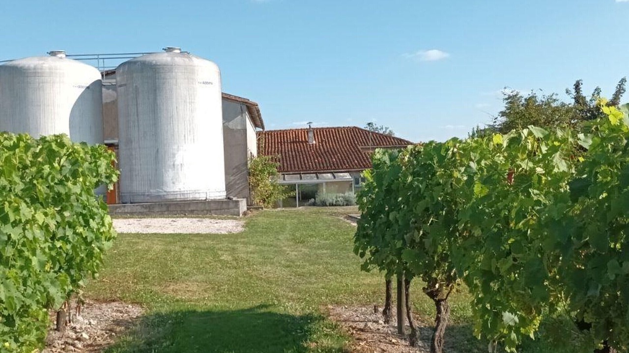Photo of Outdoor in Champagne-Vigny