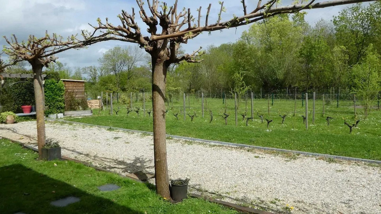 Photo of Outdoor in Latresne
