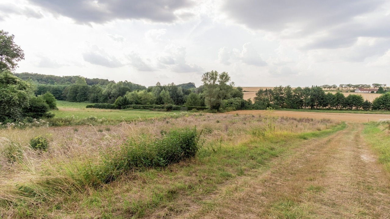 Photo of Others in Faverolles