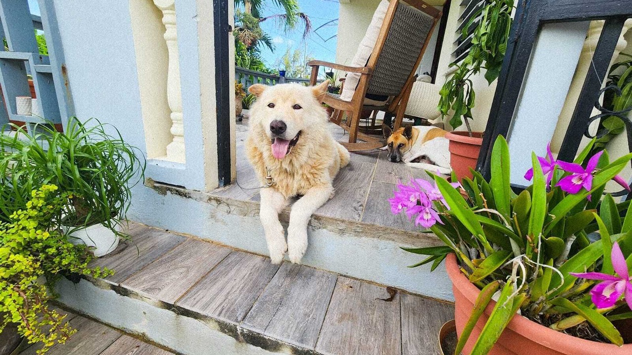 Photo of Patio Balcony in Estate Whim