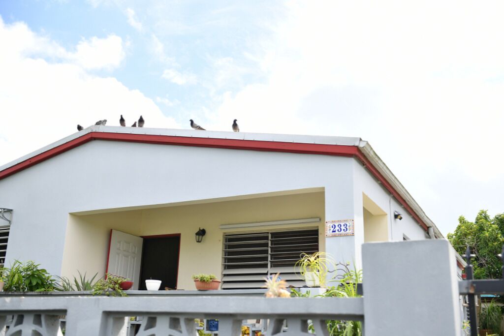 Photo of Outdoor in Estate Whim