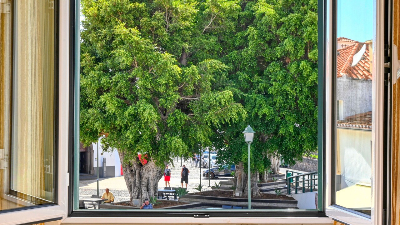 Photo of Others in Machico