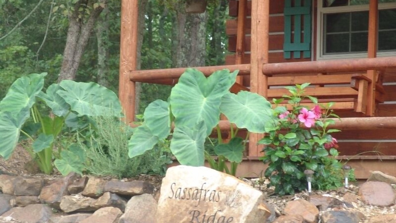Photo of Outdoor in Hardin County