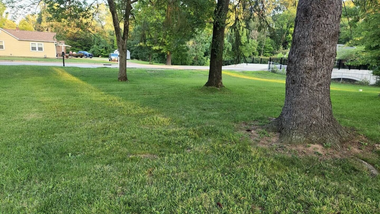 Photo of Others in Ballwin