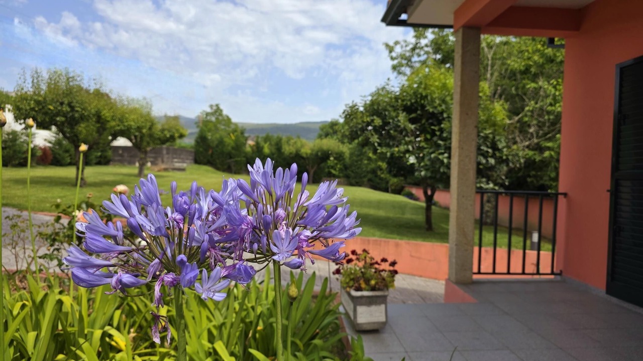 Photo of Outdoor in Valenca
