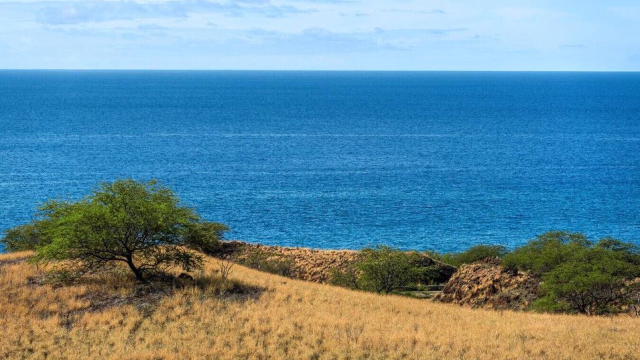 Photo of Others in Kohala Estates