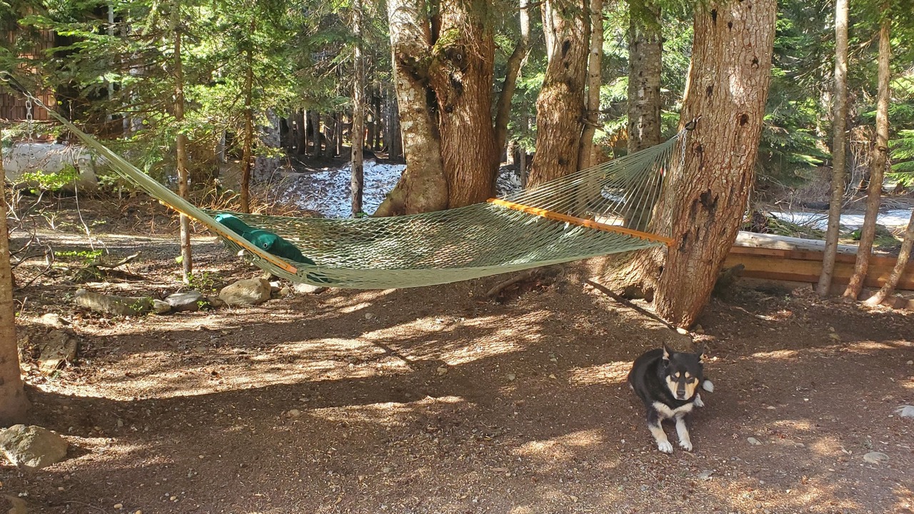 Photo of Outdoor in Snoqualmie Pass